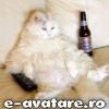 not  :x 




 :rotfl:  :rotfl:  :rotfl: hot or not