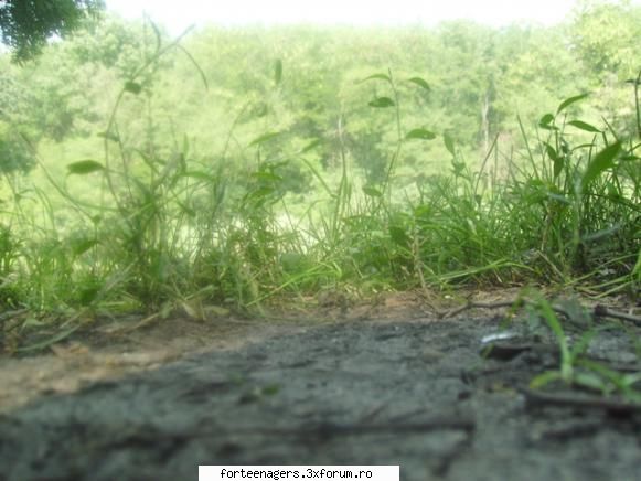 My photos - altul Linga natura - Photo
